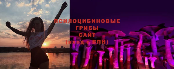 метадон Гусиноозёрск