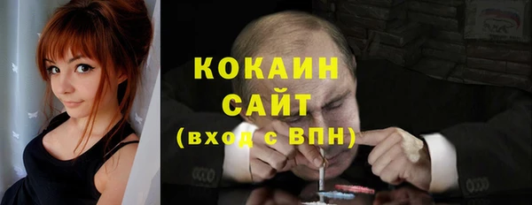 спайс Гусев