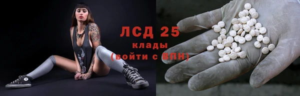 спайс Гусев