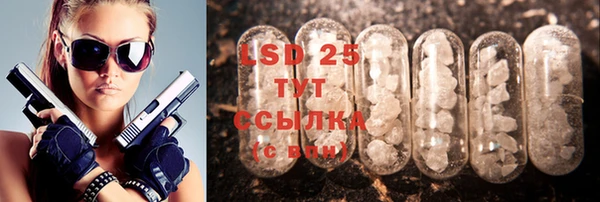 спайс Гусев
