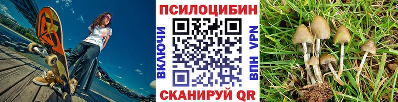 Купить где  Октябрьск  Псилоцибиновые грибы MAGIC MUSHROOMS 